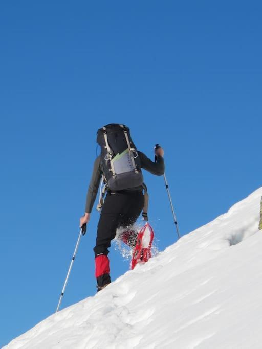 "Le Desman" Confortable T2 A La Montagne Face Aux Thermes Rando, Cure 올루스 레방 외부 사진