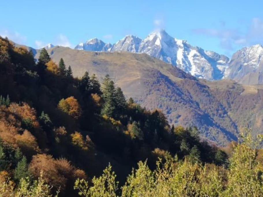 "Le Desman" Confortable T2 A La Montagne Face Aux Thermes Rando, Cure 올루스 레방 외부 사진